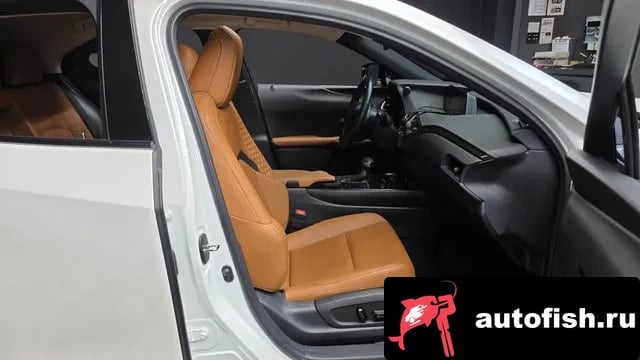 Lexus UX UX250h 2021 года - похожие автомобили