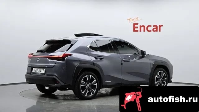 Lexus UX UX250h 2019 года - автомобиль из Южной Кореи