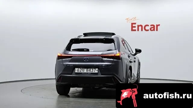 Lexus UX UX250h 2019 года - вид 3