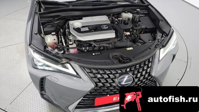 Lexus UX UX250h 2019 года - вид 5