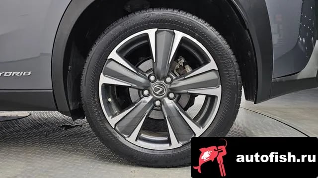 Lexus UX UX250h 2019 года - похожие автомобили