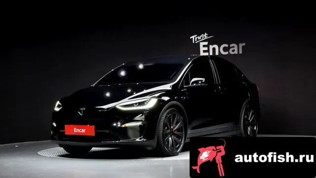 Tesla Model X Model X 2023 года - автомобиль из Южной Кореи