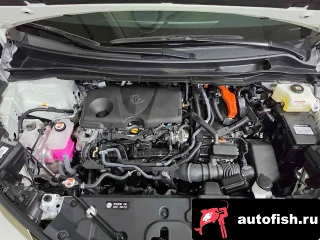 Toyota Sienna Siena 4th Generation 2025 года - вид 6