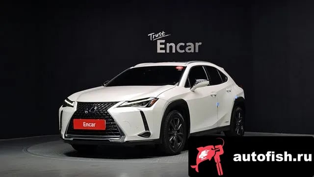 Lexus UX UX250h 2019 года - автомобиль из Южной Кореи