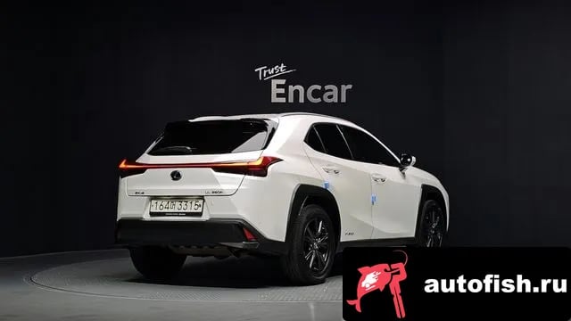 Lexus UX UX250h 2019 года - вид 2