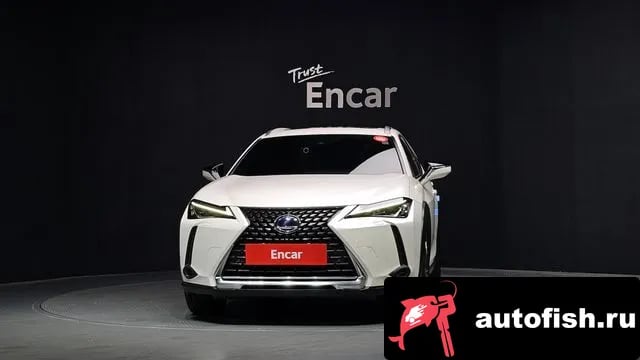 Lexus UX UX250h 2019 года - вид 3