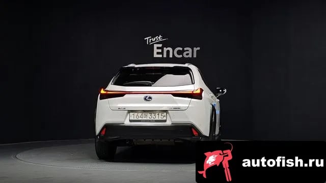 Lexus UX UX250h 2019 года - вид 4