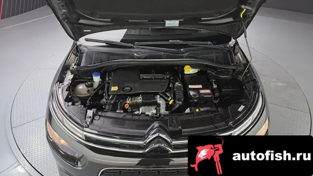 Citroen-DS C4 CACTUS C4 Cactus 2018 года - вид 6