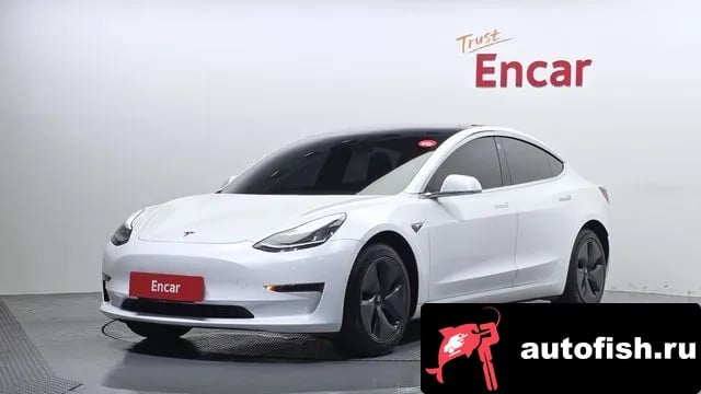 Tesla Model 3 Model 3 2019 года - похожие автомобили