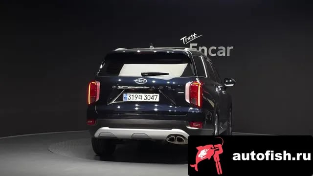 Hyundai Palisade Palisade 2019 года - вид 4