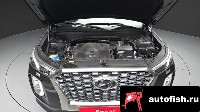 Hyundai Palisade Palisade 2019 года - вид 6
