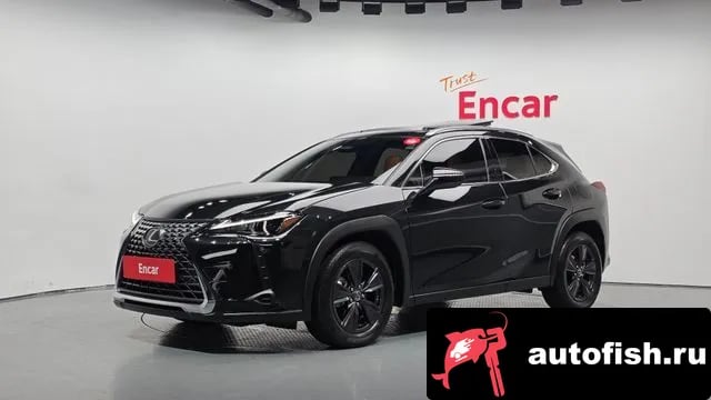 Lexus UX UX300h 2024 года - автомобиль из Южной Кореи