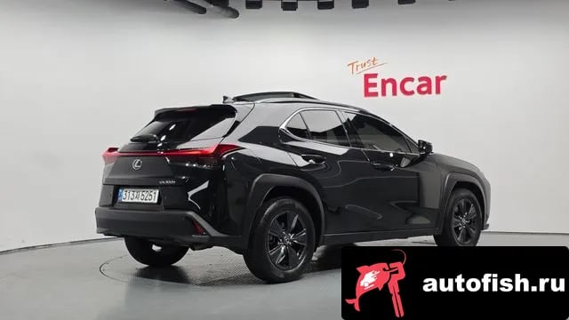 Lexus UX UX300h 2024 года - вид 2