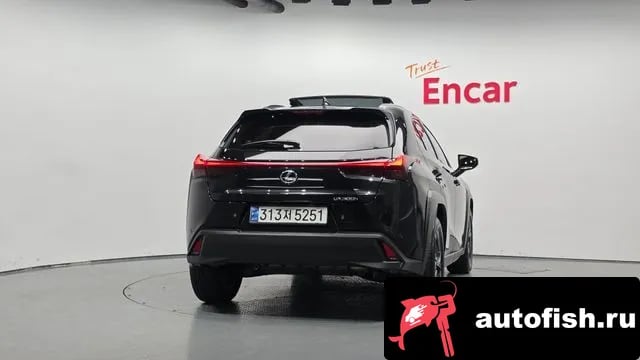 Lexus UX UX300h 2024 года - вид 4