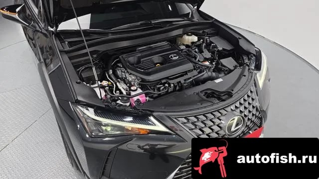 Lexus UX UX300h 2024 года - вид 6