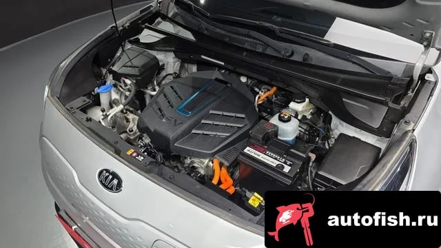 Kia Niro Niro EV 2019 года - вид 6