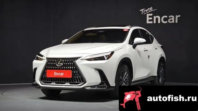 Lexus NX NX450h + 2nd generation 2023 года - автомобиль из Южной Кореи