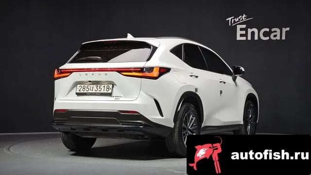 Lexus NX NX450h + 2nd generation 2023 года - вид 2