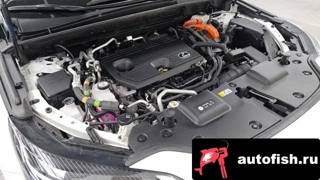Lexus NX NX450h + 2nd generation 2023 года - вид 6