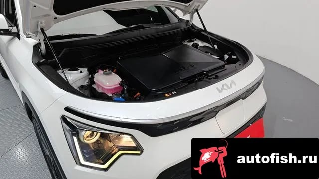 Kia Niro Di All New Niro EV 2022 года - вид 6