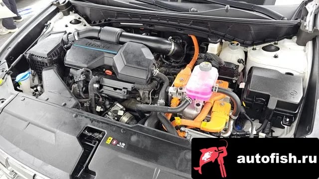 Hyundai Tucson Tucson Hybrid (NX4) 2022 года - вид 6