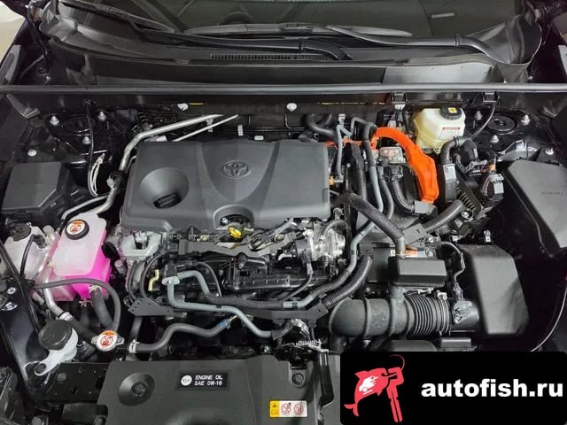 Toyota RAV4 RAV4 5th Generation 2025 года - вид 6