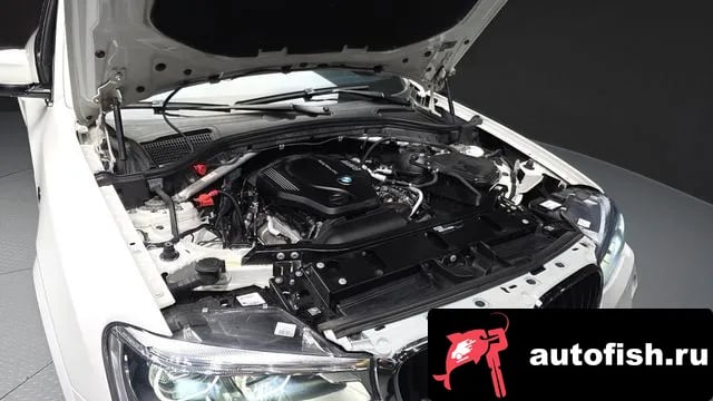 BMW X4 X4 (F26) 2018 года - вид 6