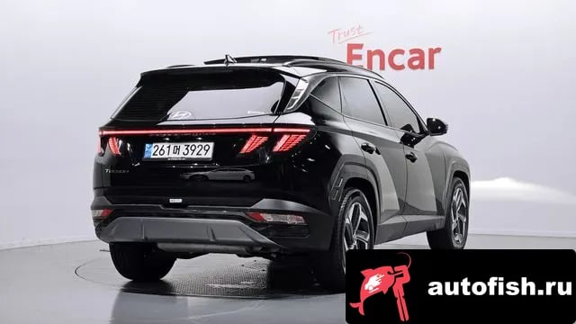 Hyundai Tucson Tucson (NX4) 2022 года - вид 2