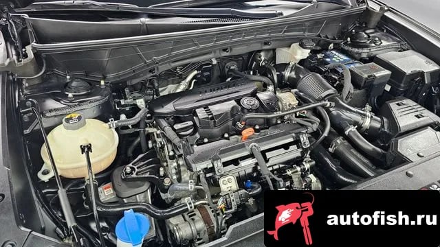 Hyundai Tucson Tucson (NX4) 2022 года - вид 6