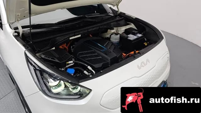Kia Niro Niro EV 2021 года - вид 6