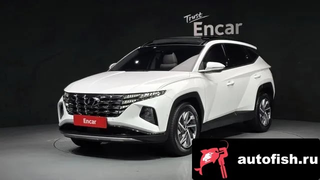 Hyundai Tucson Tucson Hybrid (NX4) 2023 года - автомобиль из Южной Кореи