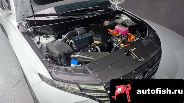 Hyundai Tucson Tucson Hybrid (NX4) 2023 года - вид 6