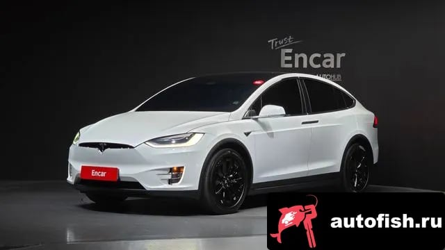 Tesla Model X Model X 2020 года - автомобиль из Южной Кореи