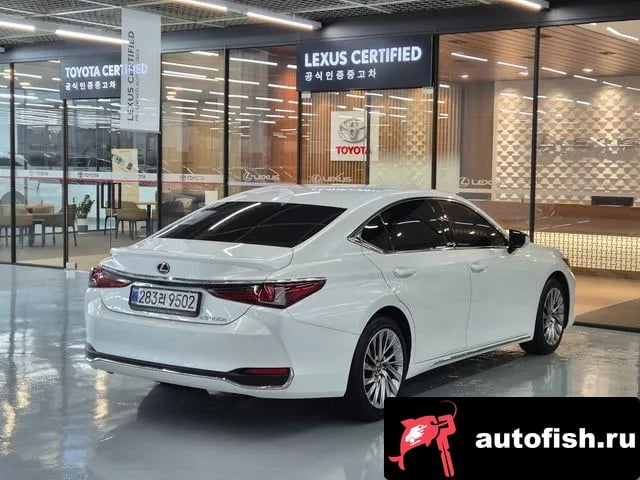 Lexus ES ES300h 7th generation 2025 года - вид 2