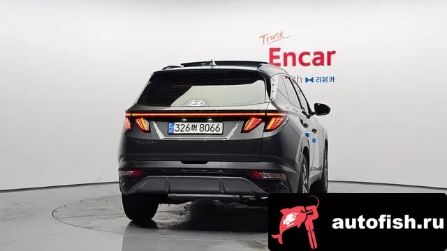 Hyundai Tucson Tucson Hybrid (NX4) 2022 года - вид 4