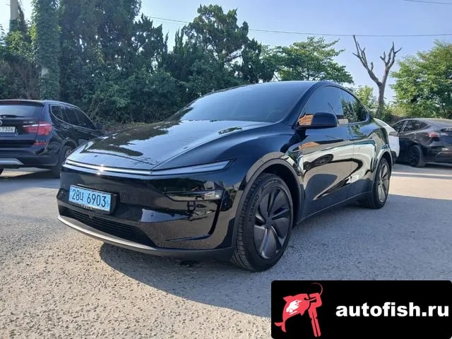 Tesla Model Y Model Y 2026 года - автомобиль из Южной Кореи