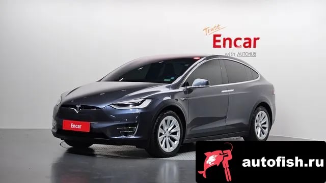 Tesla Model X Model X 2019 года - автомобиль из Южной Кореи