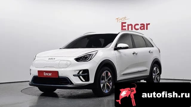 Kia Niro Niro EV 2021 года - автомобиль из Южной Кореи