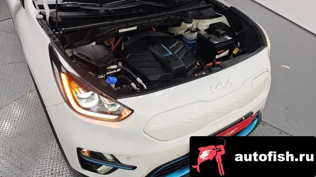 Kia Niro Niro EV 2021 года - вид 6