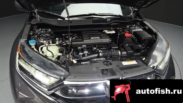Honda CR-V CR-V 5th generation 2019 года - вид 6
