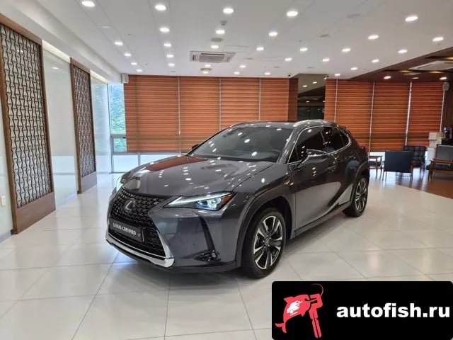 Lexus UX UX250h 2024 года - вид 1