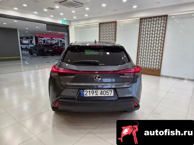 Lexus UX UX250h 2024 года - вид 4