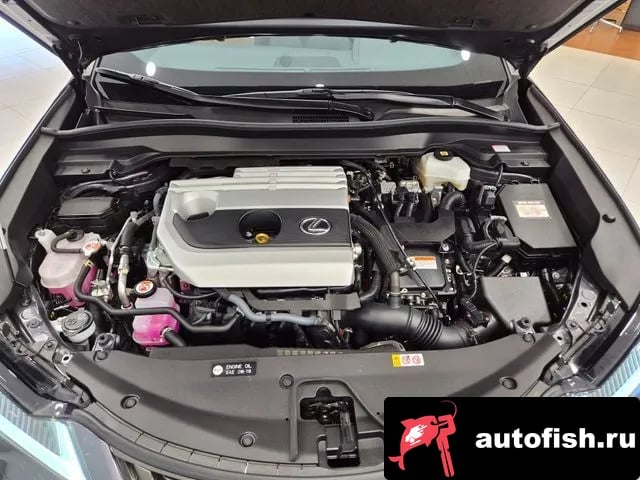 Lexus UX UX250h 2024 года - вид 6