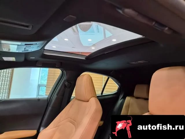 Lexus UX UX250h 2024 года - похожие автомобили