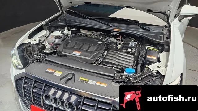 Audi Q3 Q3 (F3) 2023 года - вид 6