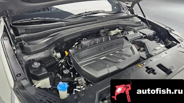 Hyundai Santafe San Tafe TM 2018 года - вид 6