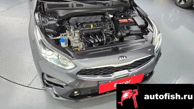 Kia K3 Come New K3 2020 года - вид 6