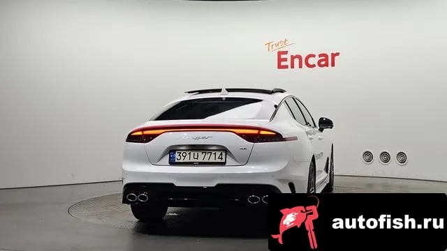 Kia Stinger Stinger Meister 2021 года - вид 4