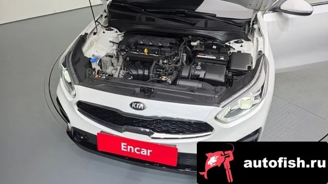 Kia K3 Come New K3 2019 года - вид 6