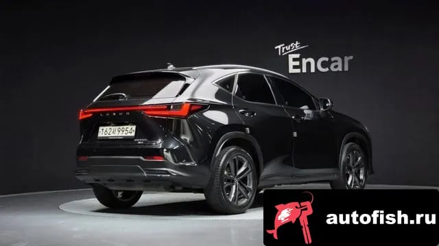 Lexus NX NX350h Second generation 2023 года - вид 2